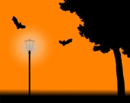 Halloween Week