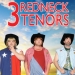 3 Redneck Tenors in Branson, MO