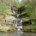 Dogwood Canyon Park Activities in Branson, MO