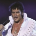 Tony Roi's Elvis and More in Branson, MO