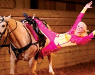Silver Dollar City - Dixie Package