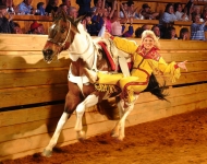 Dixie Stampede Package