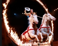 Dixie Stampede Package