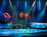 Joseph The Musical & Titanic Combo Package