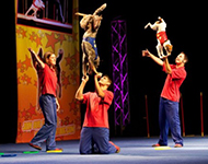 Animal Adventure of Branson Getaway