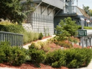 Treehouse Condominiums