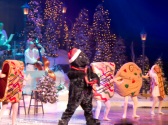 Andy Williams Christmas Show, Branson MO Shows