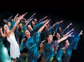 Spirit of the Dance