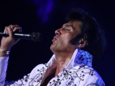 Tony Roi's Elvis and More