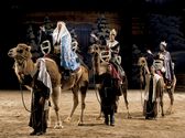Dixie Stampede Christmas