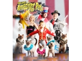 Amazing Pets , Branson MO Shows (1)