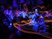 Butterfly Palace & Rainforest Adventure, Branson MO Shows (1)