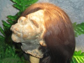 Ripley's Believe It or Not Museum