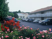 Honeysuckle Inn