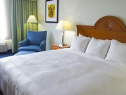 Radisson Hotel