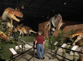 Dinosaur Museum, Branson MO Shows (2)