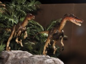 Dinosaur Museum