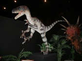 Dinosaur Museum