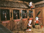Christmas on the Trail, Branson MO Shows (2)