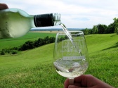 Mount Pleasant Winery Wine Class 101, Branson MO Shows (1)