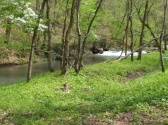Dogwood Canyon Park Activities