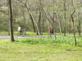 Dogwood Canyon Tram Tours