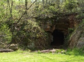 Dogwood Canyon Tram Tours