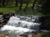 Dogwood Canyon Tram Tours
