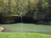 Dogwood Canyon Tram Tours