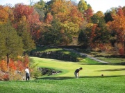 Stonebridge Resort