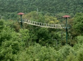 Adventure Ziplines of Branson, Branson MO Shows (2)