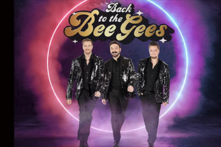 Back To The Bee Gees