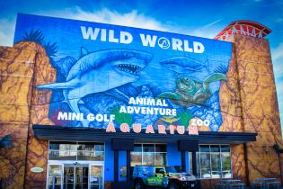 Branson's Wild World