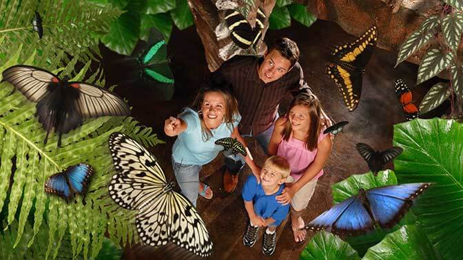 Butterfly Palace & Rainforest Adventure