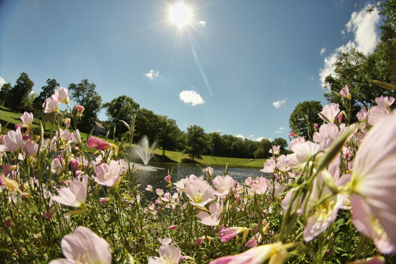 Pointe Royale Golf Course