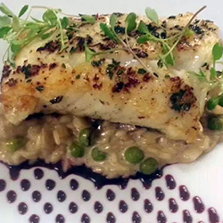 La Piazza Ristorante Italianio - Cod with Wild Mushroom Rissotto