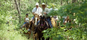 Dogwood Canyon Horseback Riding