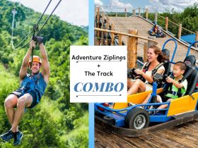 Adventure Ziplines of Branson/The Track Combo in Branson, MO