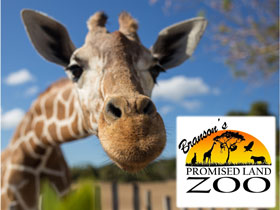 Branson's Promised Land Zoo
