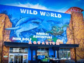 Branson's Wild World in Branson, MO