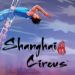 Shanghai Circus in Branson, MO