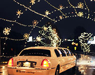 2 Person Branson Christmas Light Tour Package