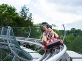 Copperhead Mountain Coaster