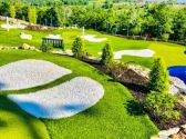 The Social Birdy Putting Golf