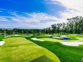 The Social Birdy Putting Golf