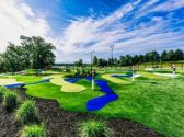 The Social Birdy Putting Golf
