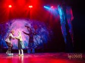 Chronicles of Narnia : The Lion, The Witch and The Wardrobe