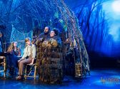 Chronicles of Narnia : The Lion, The Witch and The Wardrobe