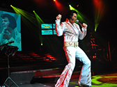 Ultimate Elvis Tribute Contest