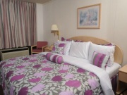 Ramada by Wyndham Branson